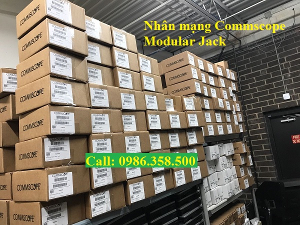 Nhân mạng Commscope Rj45 Cat6